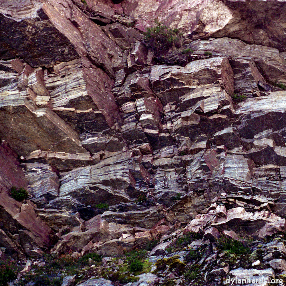 Image 'highlands (xvii) 5'.