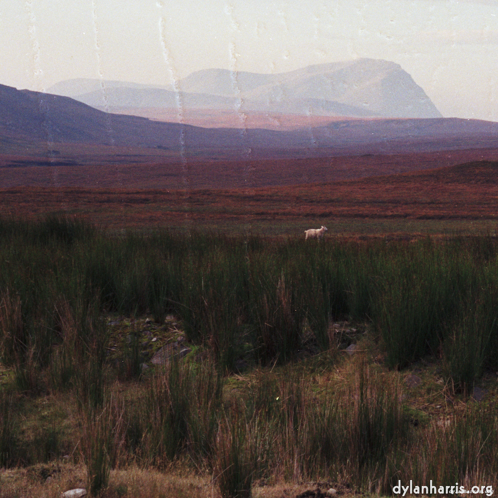 Image 'highlands (xviii) 2'.