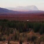 Second image from the photoset 'highlands (xviii)'.