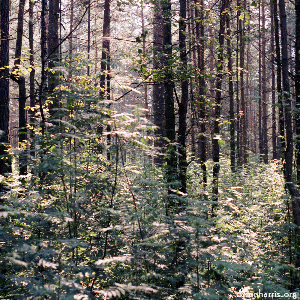 Image 'youth festival 1'.