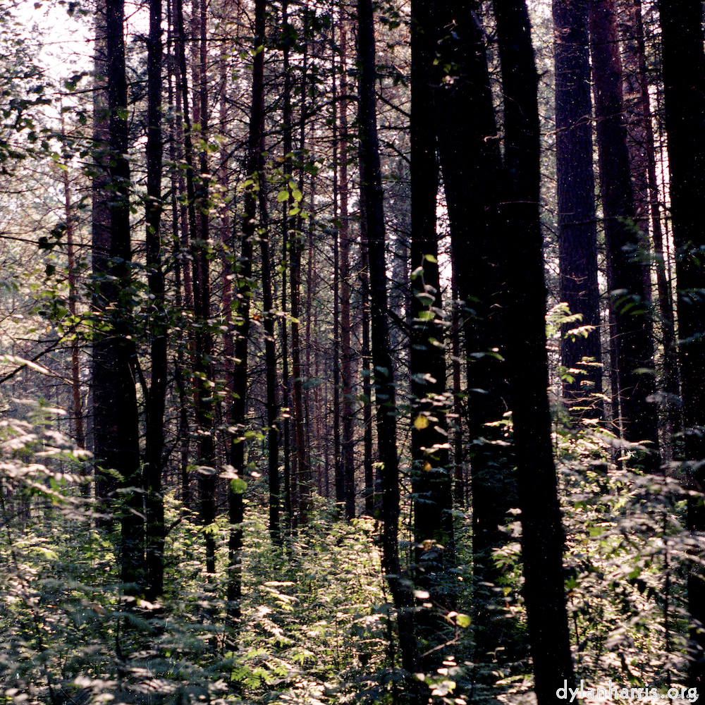 Image: Image 'youth festival 4'.