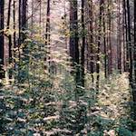 First image from the photoset 'youth festival'.