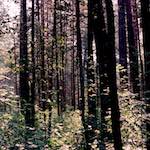 Fourth image from the photoset 'youth festival'.