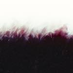 Fourth image from the photoset 'fire (xxxv)'.