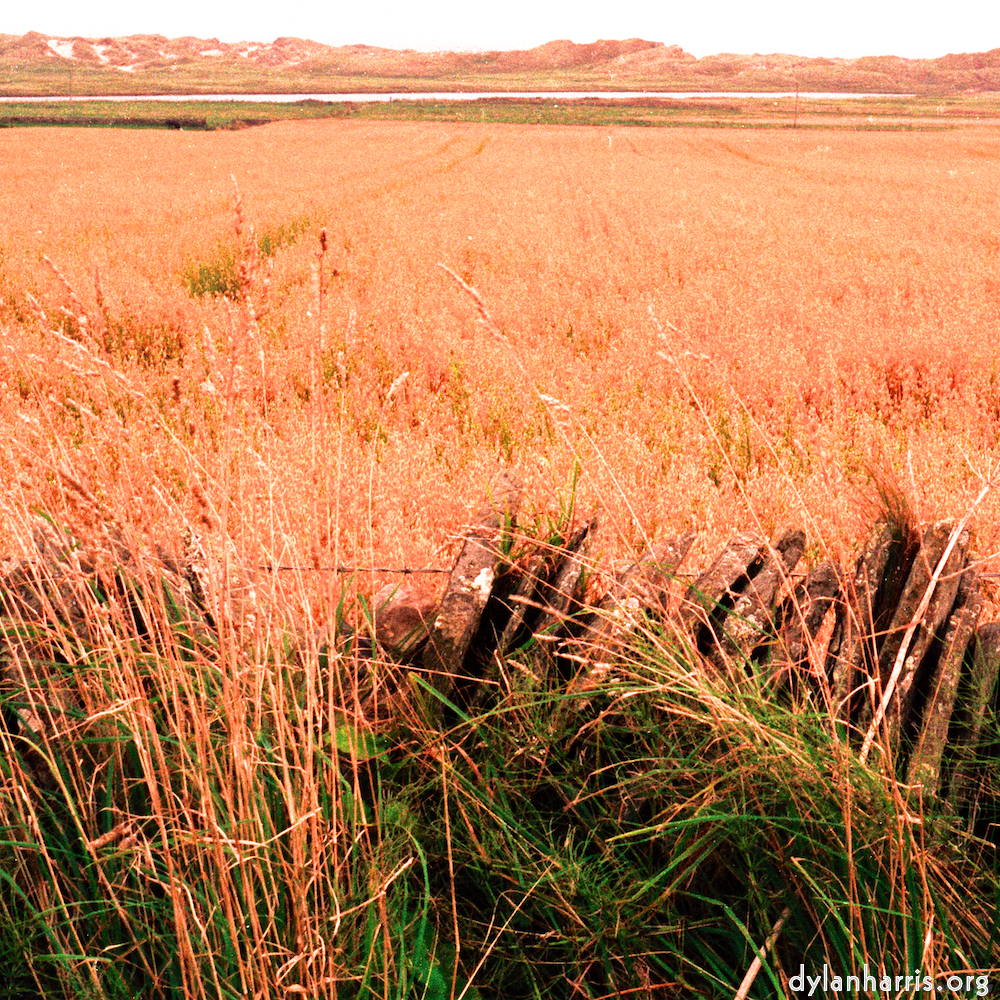 Image 'north (i) 1'.