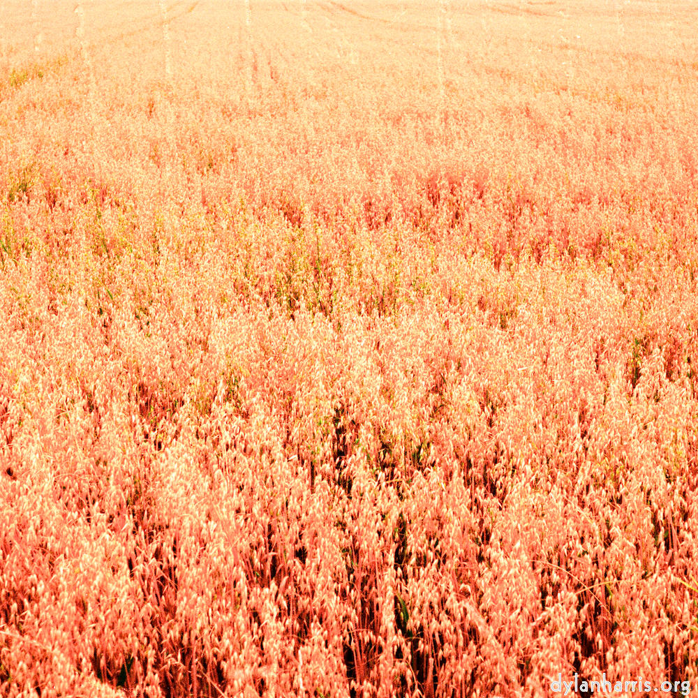 Image 'north (i) 3'.