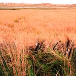 First image from the photoset 'north (i)'.