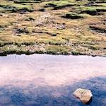 First image from the photoset 'highlands (xx)'.