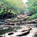 Third image from the photoset 'highlands (xx)'.