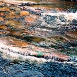 Fifth image from the photoset 'highlands (xx)'.