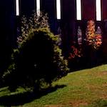 First image from the photoset 'highlands (xi)'.