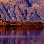 First image from the photoset 'highlands (xii)'.