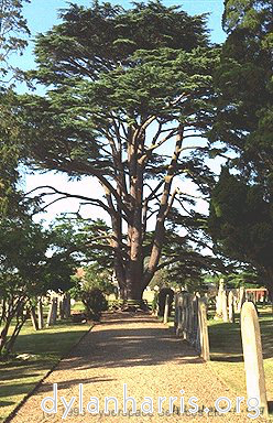 Image: Image 'kimbolton 4'.