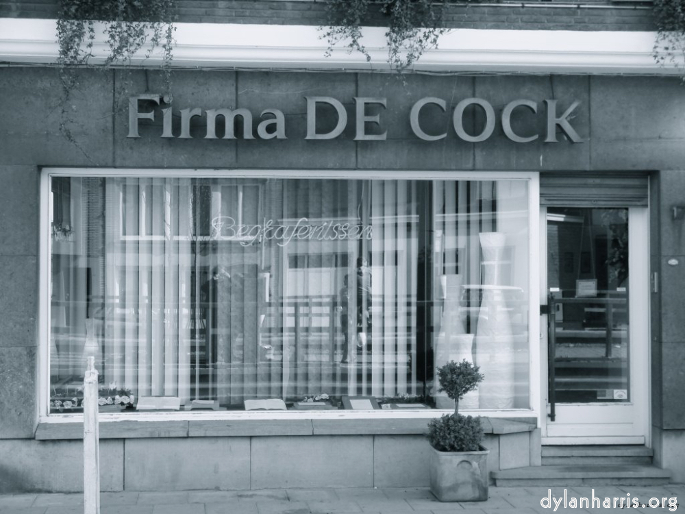 Image: Image 'linguistics 1'.