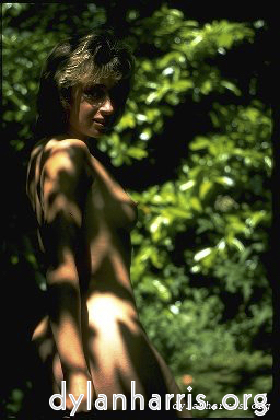 Image: Image 'lisa (i) 2'.