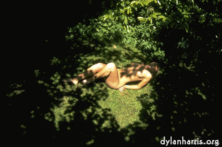 Image: Image 'lisa (v) 3'.