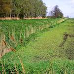 Second image from the photoset 'fen (xi)'.