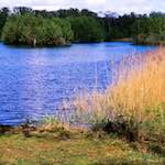 Third image from the photoset 'fen (xi)'.