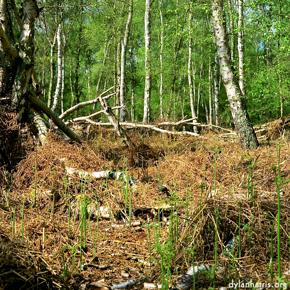 image: This is &lsquo;fen (xii) 2&rsquo;.