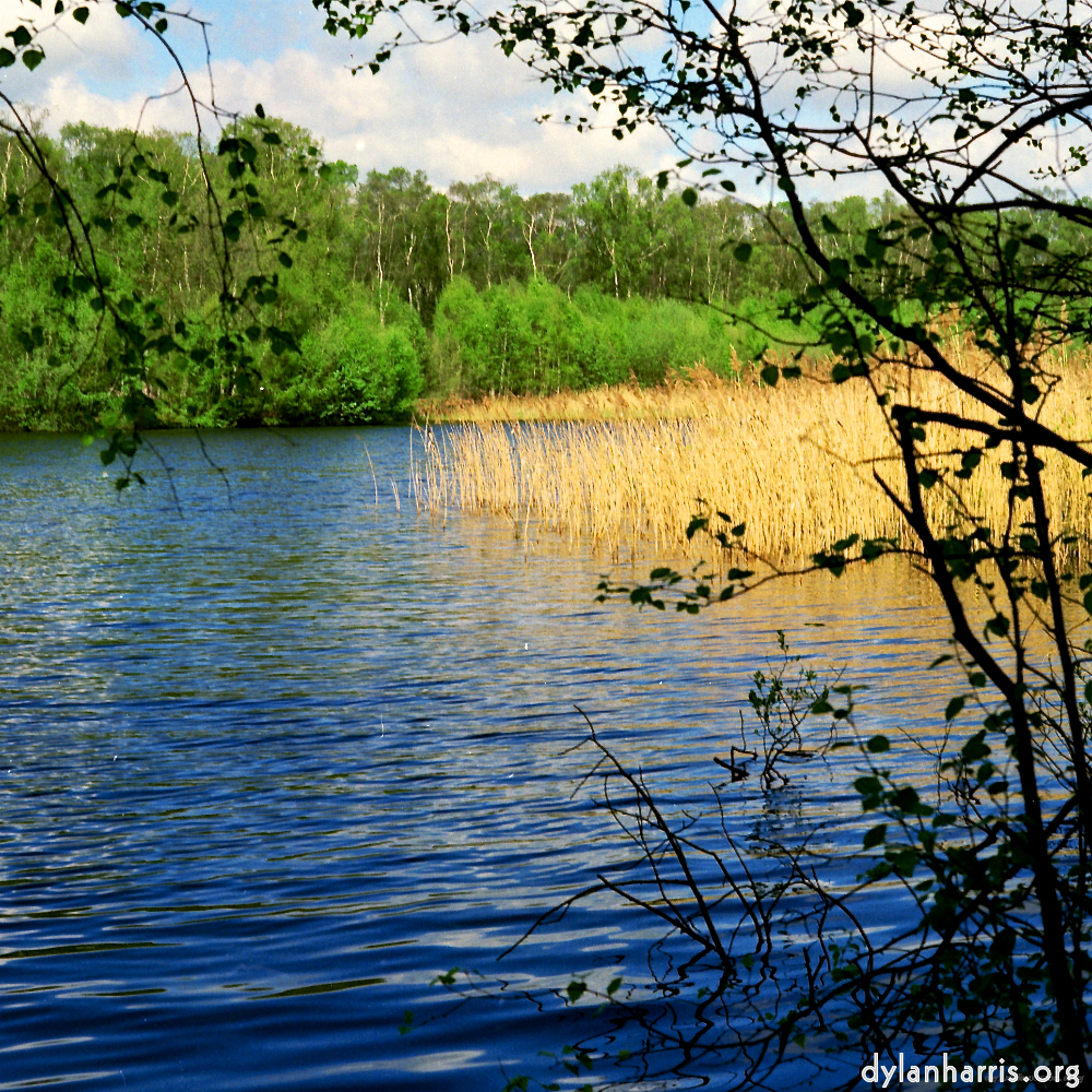 image: This is &lsquo;fen (xii) 3&rsquo;.