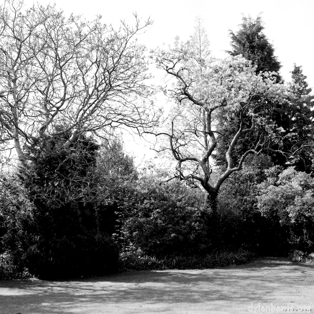 Image 'fen (xiii) 3'.