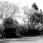 Third image from the photoset 'fen (xiii)'.