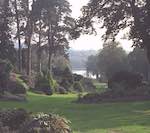 image: Image from the photoset &lsquo;miscellaneous&rsquo;.