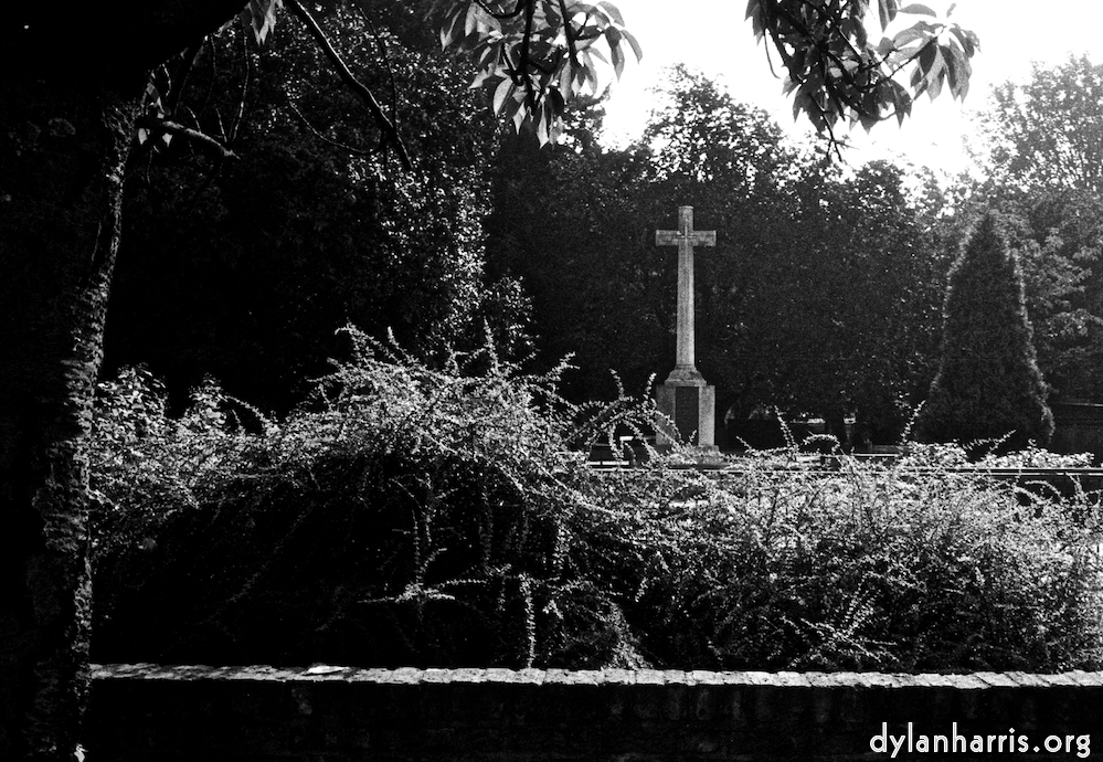 image: This is &lsquo;wood (ii) 1&rsquo;.