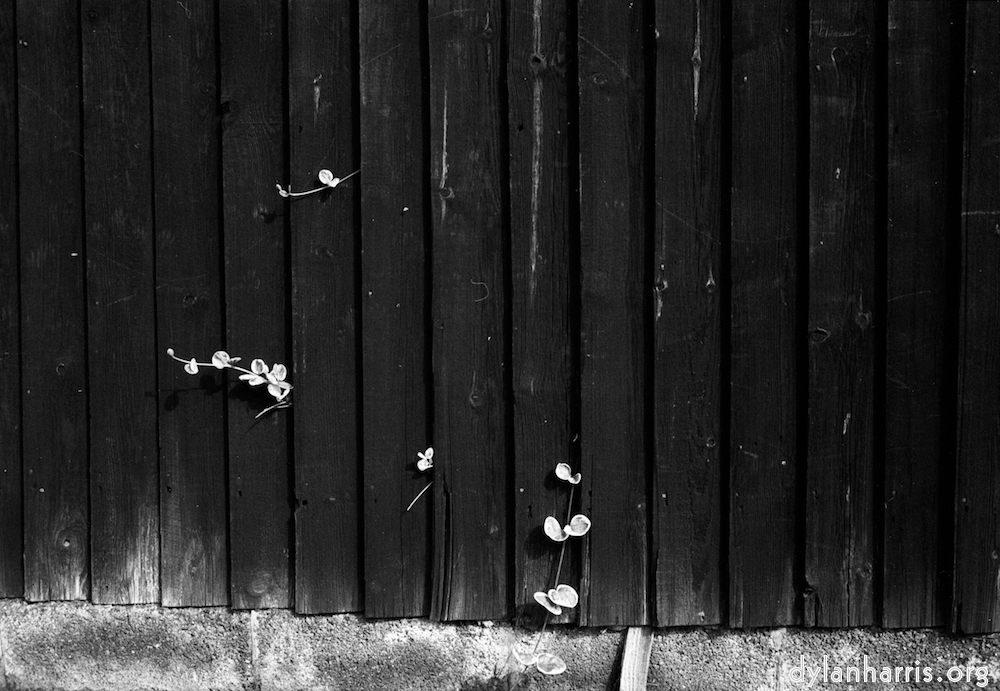 image: This is &lsquo;wood (ii) 2&rsquo;.