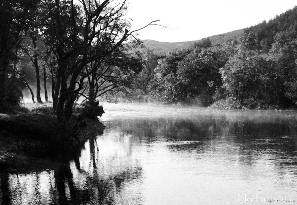 image: This is &lsquo;wood (iii) 2&rsquo;.