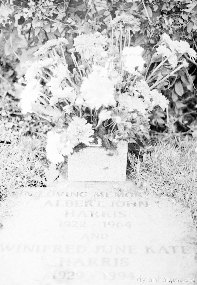 image: This is &lsquo;wood (iii) 3&rsquo;.