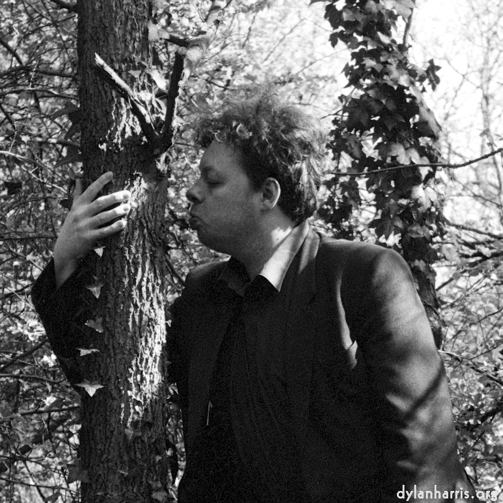 Image: Image 'auto (ii) 2'.