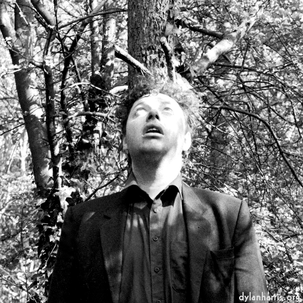 Image 'auto (ii) 4'.