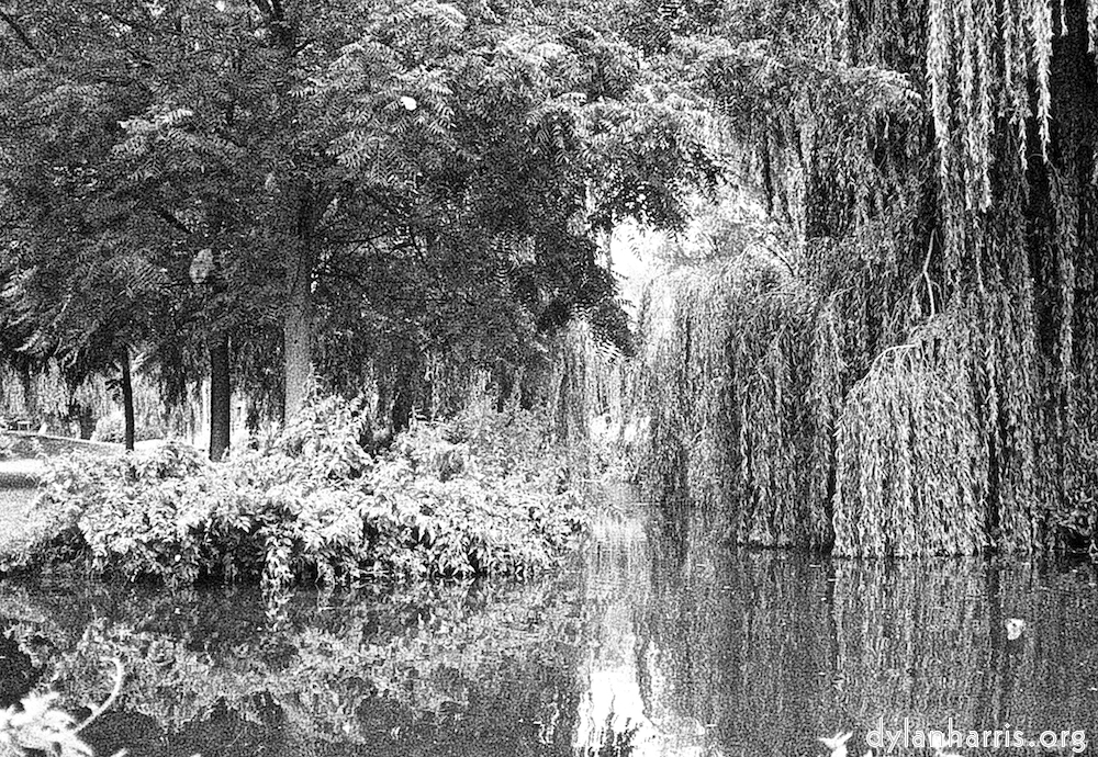 image: This is &lsquo;wood (iv) 1&rsquo;.