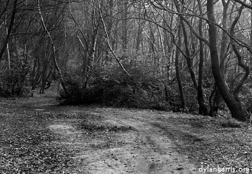 image: This is &lsquo;wood (i) 2&rsquo;.