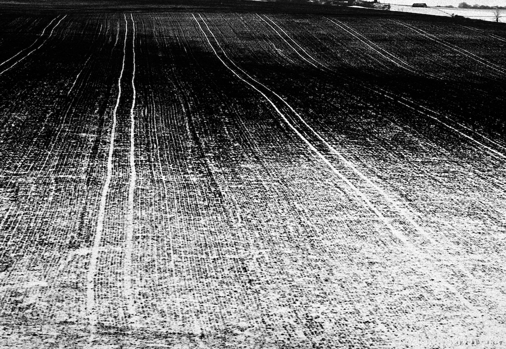 image: This is &lsquo;train (i) 4&rsquo;.