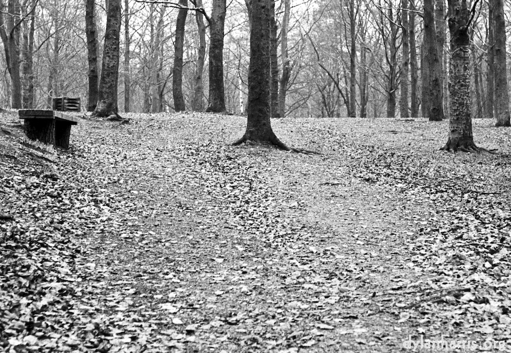 image: This is &lsquo;wood (v) 2&rsquo;.