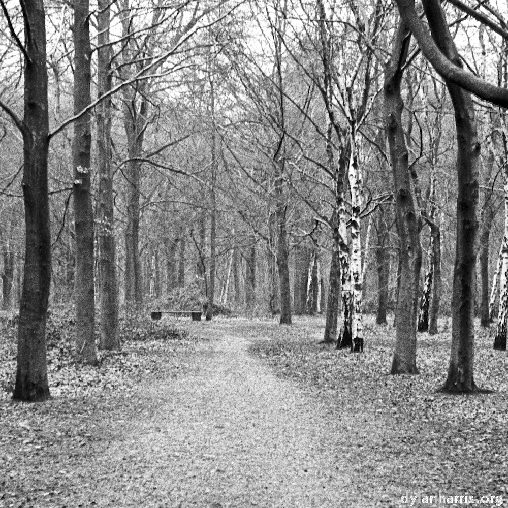 image: This is &lsquo;wood (v) 3&rsquo;.