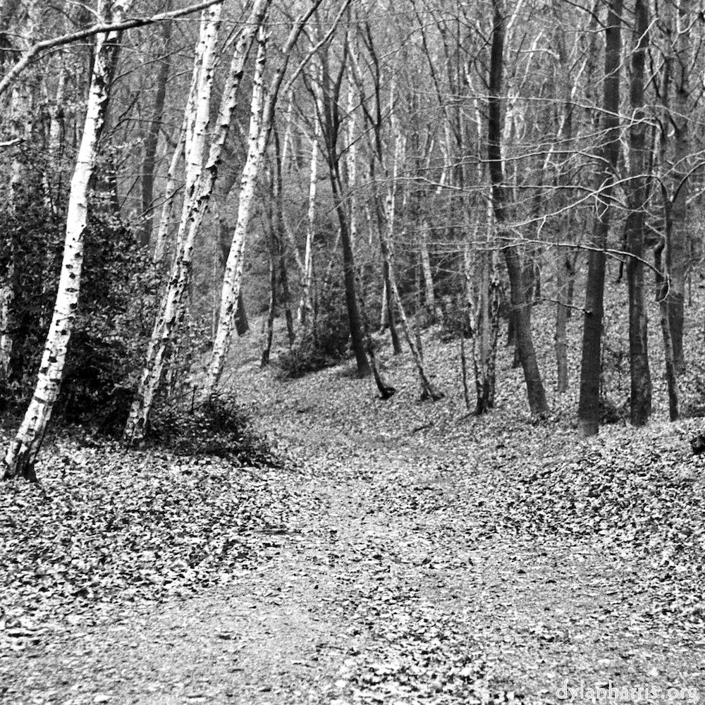 image: This is &lsquo;wood (v) 4&rsquo;.