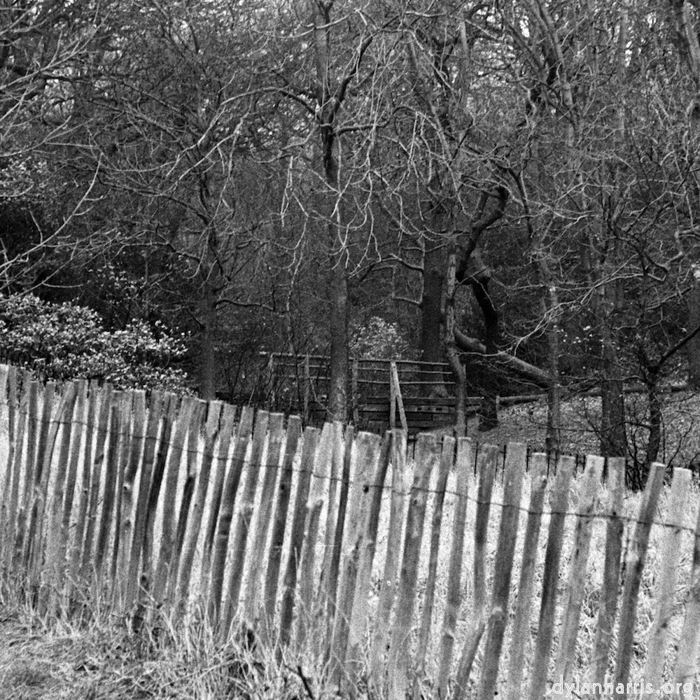 Image: Image 'untitled (v) 3'.