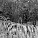 image: Image from the photoset &lsquo;untitled (v)&rsquo;.