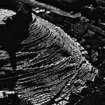 Image: Third image from the photoset 'untitled (i)'.