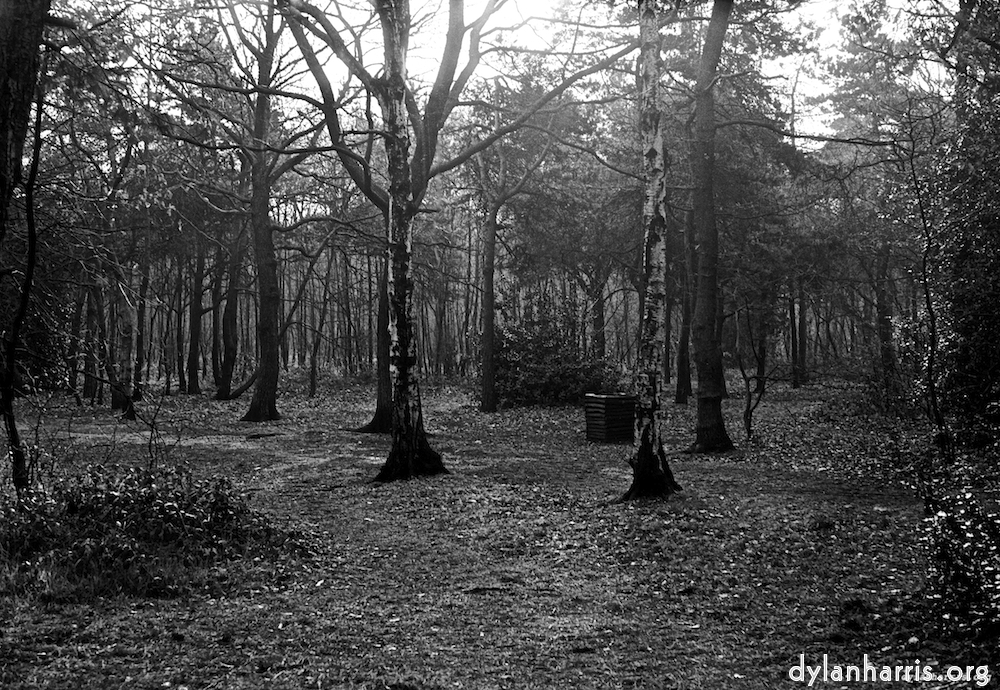 image: This is &lsquo;wood (vi) 1&rsquo;.