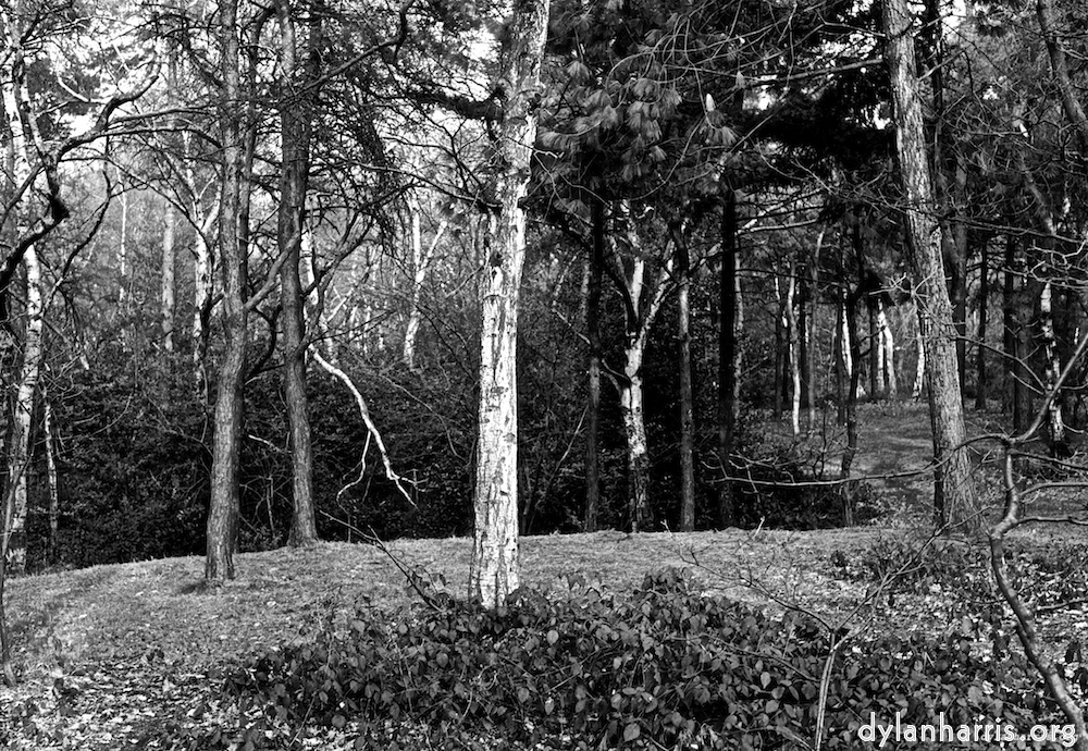 image: This is &lsquo;wood (vi) 4&rsquo;.