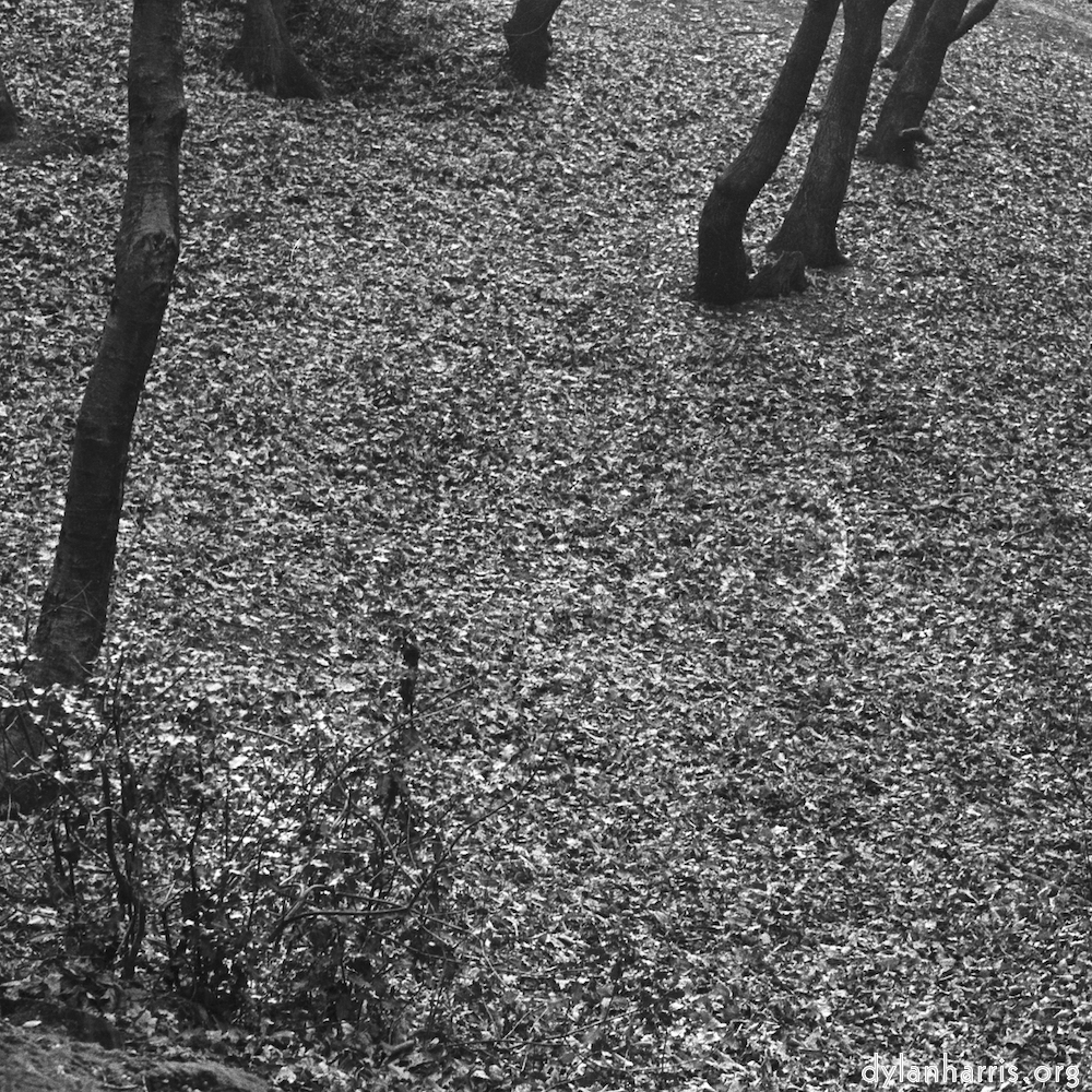 image: This is &lsquo;wood (xxv) 2&rsquo;.