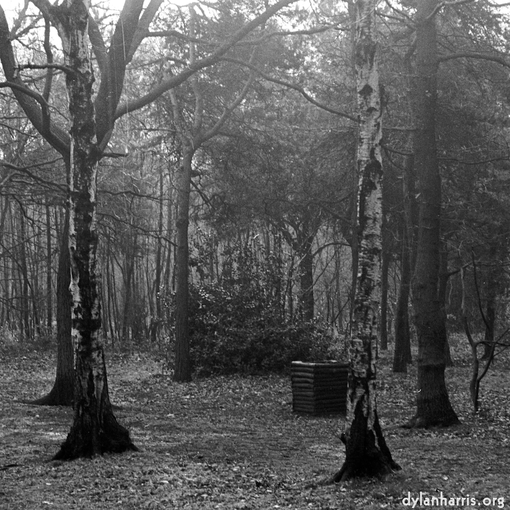 Image: Image 'wood (xxv) 3'.