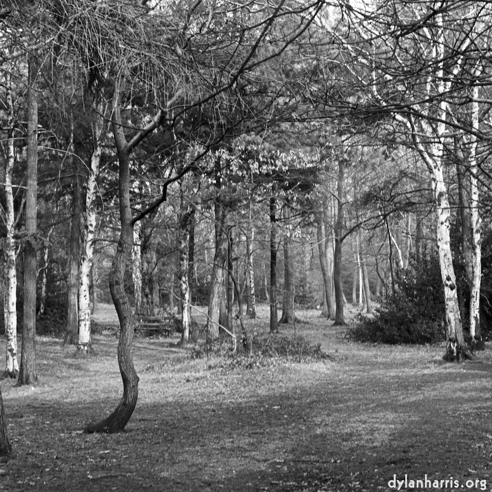 image: This is &lsquo;wood (xxv) 9&rsquo;.