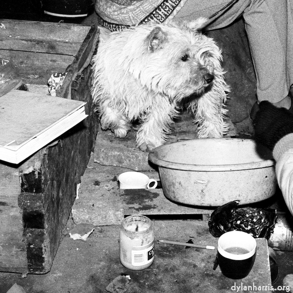 Image: Image 'daws hill (i) 2'.