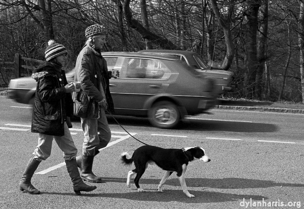 Image 'daws hill (ii) 1'.