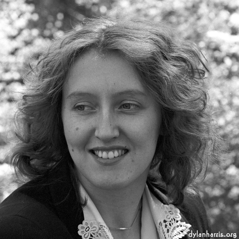 Image: Image 'YLs (iv) 1'.